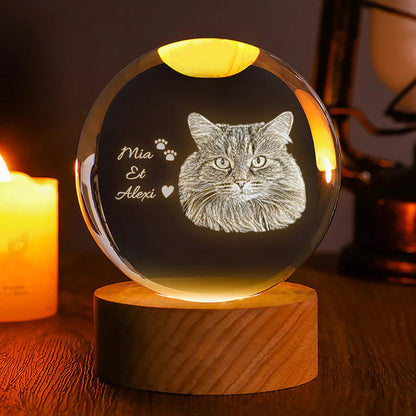 Custom 3D Photo Crystal Ball