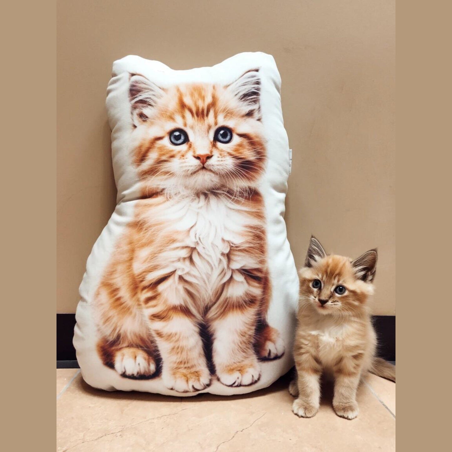 Custom 3D Pet Portrait Shaped Pillow