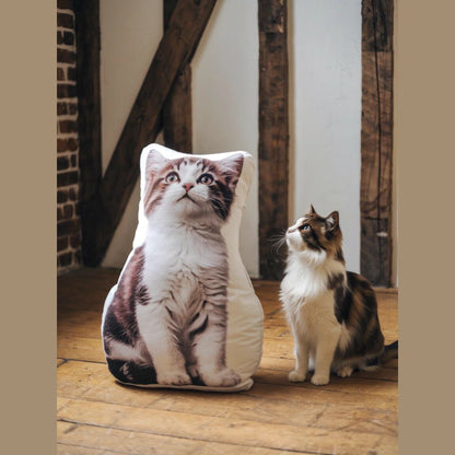 Custom 3D Pet Portrait Shaped Pillow